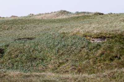 Regelbau 521 - Batterie-Agger