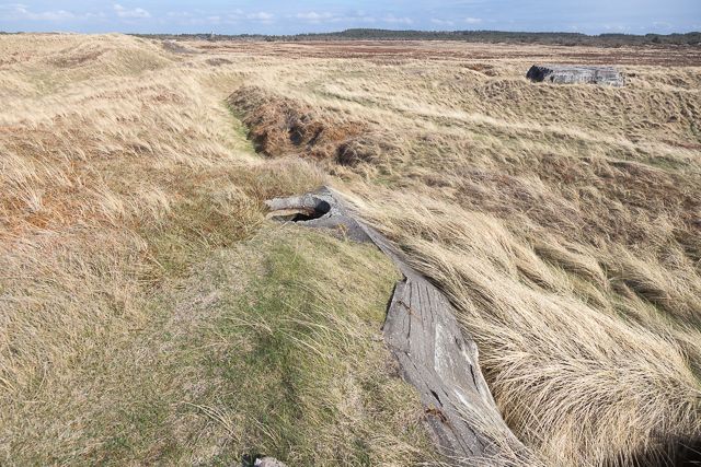 P� toppen af bunkeren