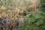 Tilgroet mandskabsbunker
