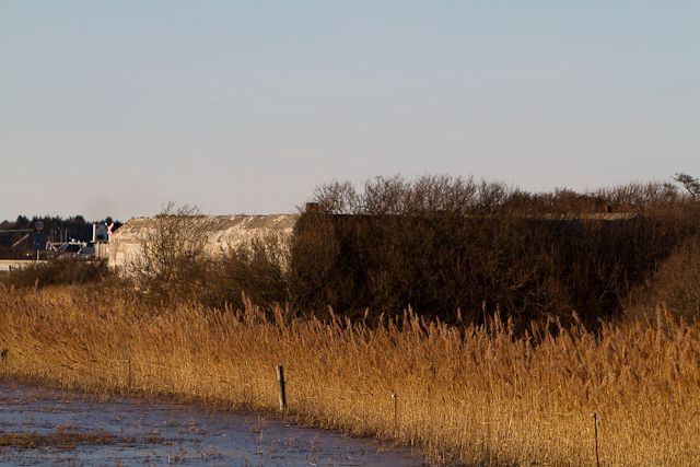 L411A - 60cm sgelys-bunker
