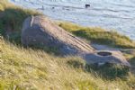 Indgang p� kanonstilling 671