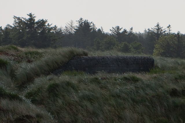 L409A Flak stilling