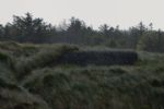 L409A Flak stilling