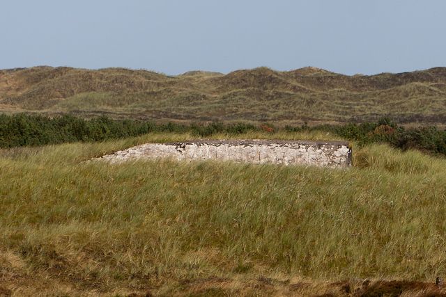 Endnu en L409A i LW. Stp. Bffel