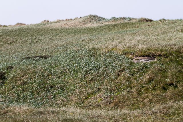 Mandskabsbunker bag klitterne